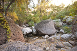 photo thumbnail #11