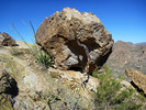 photo thumbnail #12