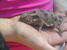 photo thumbnail #5