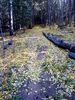 photo thumbnail #4