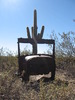 photo thumbnail #12