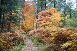 photo thumbnail #5