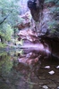 photo thumbnail #15