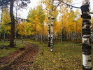 photo thumbnail #6