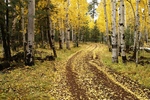 photo thumbnail #12