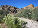 photo thumbnail #3