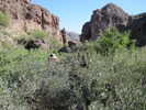 photo thumbnail #6