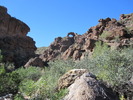 photo thumbnail #7