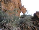 photo thumbnail #14