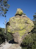 photo thumbnail #2