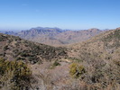 photo thumbnail #2