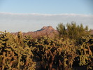 photo thumbnail #1