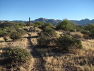 photo thumbnail #2