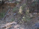 photo thumbnail #10