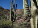 photo thumbnail #11