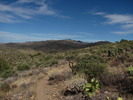 photo thumbnail #14