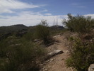recent photo