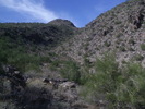 recent photo