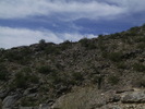 photo thumbnail #12