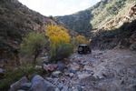 photo thumbnail #1
