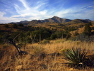 photo thumbnail #2