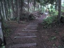 photo thumbnail #9