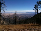 photo thumbnail #6