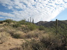 photo thumbnail #2