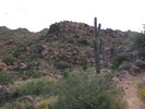 photo thumbnail #8