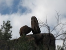 photo thumbnail #9