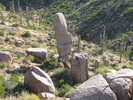 photo thumbnail #13