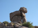 photo thumbnail #15