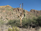 photo thumbnail #12