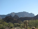 photo thumbnail #13