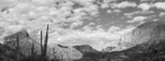 photo thumbnail #15