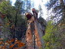 photo thumbnail #14