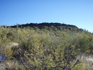 photo thumbnail #9