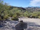 photo thumbnail #12