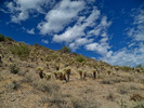 photo thumbnail #9