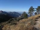 photo thumbnail #8