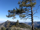 photo thumbnail #13