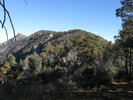 photo thumbnail #14