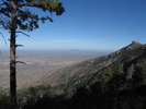 photo thumbnail #15