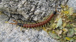 photo thumbnail #8