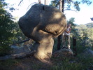 photo thumbnail #1