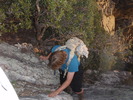 photo thumbnail #15