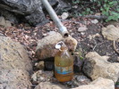 photo thumbnail #13
