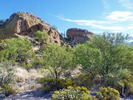 photo thumbnail #1