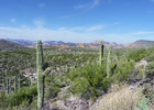 photo thumbnail #12
