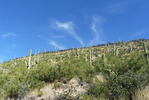 photo thumbnail #14